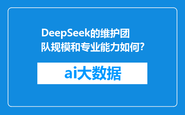 DeepSeek的维护团队规模和专业能力如何？