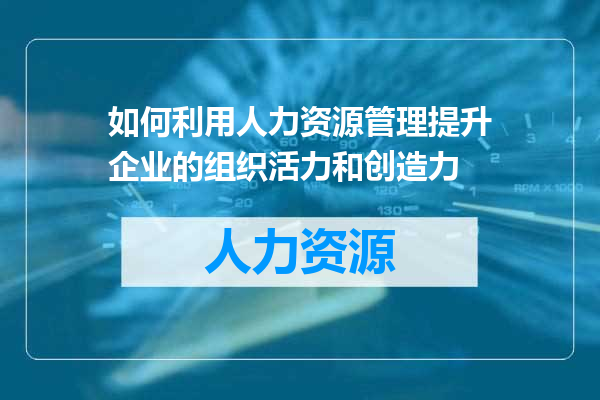 如何利用人力资源管理提升企业的组织活力和创造力