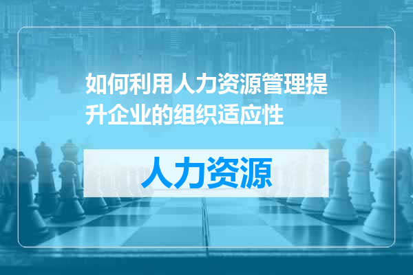 如何利用人力资源管理提升企业的组织适应性