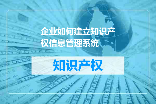 企业如何建立知识产权信息管理系统