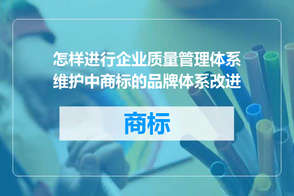 怎样进行企业质量管理体系维护中商标的品牌体系改进