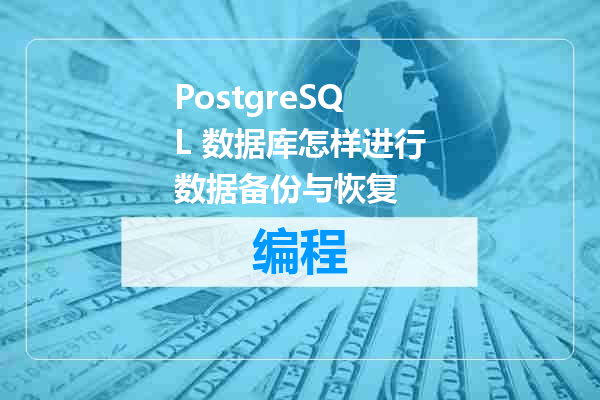 PostgreSQL 数据库怎样进行数据备份与恢复
