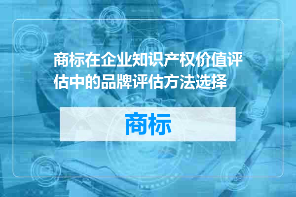 商标在企业知识产权价值评估中的品牌评估方法选择