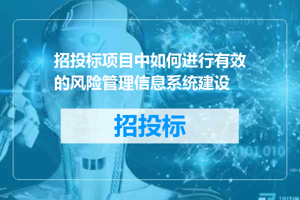 招投标项目中如何进行有效的风险管理信息系统建设