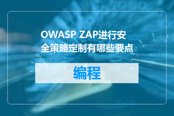 OWASP ZAP进行安全策略定制有哪些要点