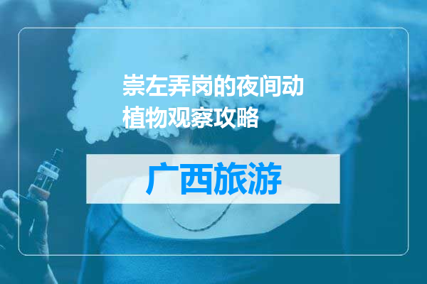 崇左弄岗的夜间动植物观察攻略