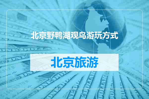 北京野鸭湖观鸟游玩方式