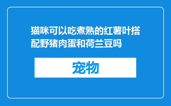 猫咪可以吃煮熟的红薯叶搭配野猪肉蛋和荷兰豆吗