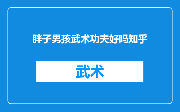 胖子男孩武术功夫好吗知乎