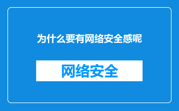 为什么要有网络安全感呢