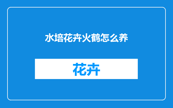 水培花卉火鹤怎么养
