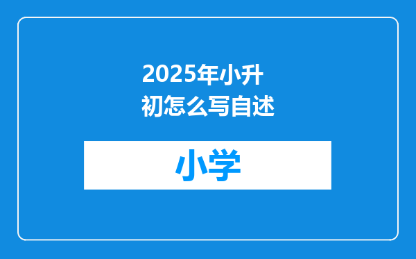 2025年小升初怎么写自述