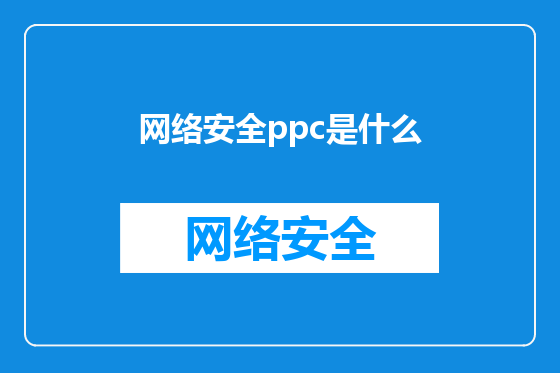 网络安全ppc是什么