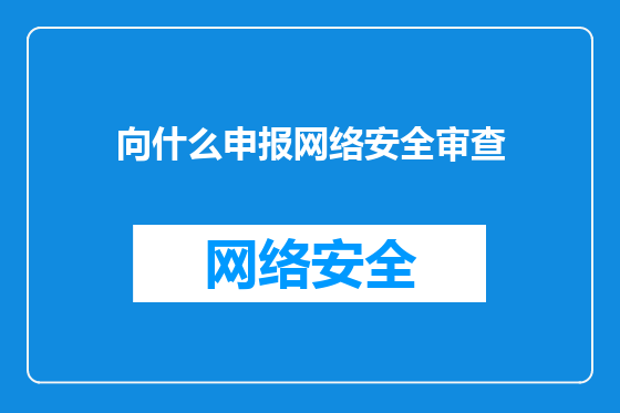 向什么申报网络安全审查