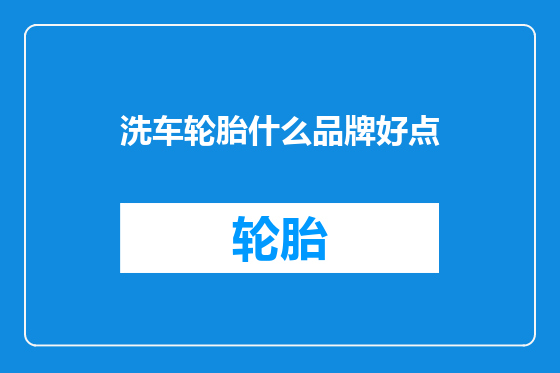 洗车轮胎什么品牌好点