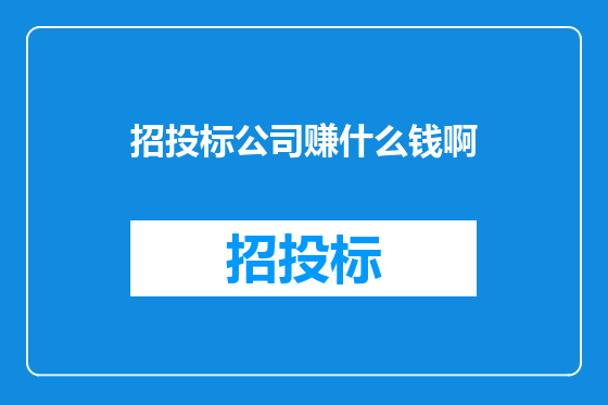 招投标公司赚什么钱啊