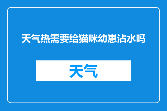 天气热需要给猫咪幼崽沾水吗