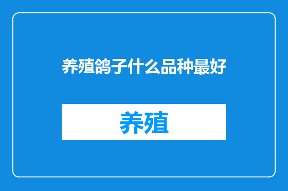 养殖鸽子什么品种最好