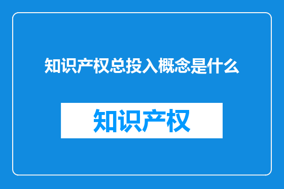 知识产权总投入概念是什么