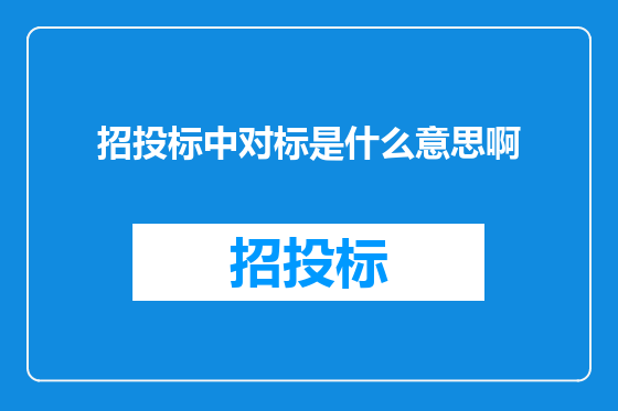 招投标中对标是什么意思啊