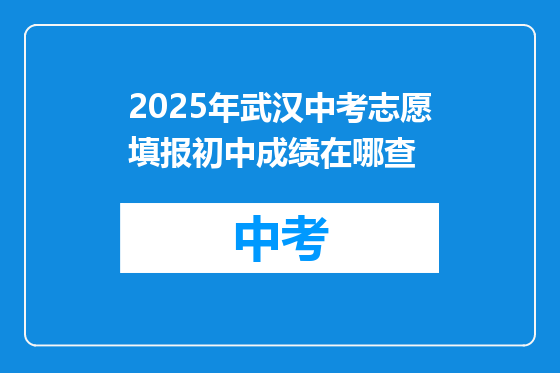 2025年武汉中考志愿填报初中成绩在哪查