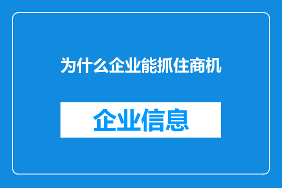 为什么企业能抓住商机