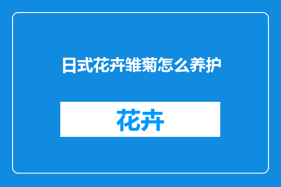 日式花卉雏菊怎么养护