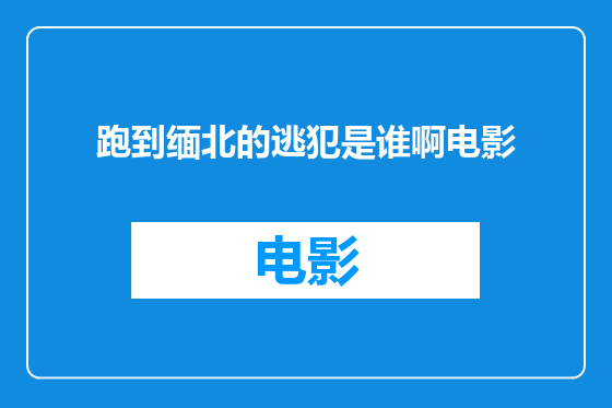 跑到缅北的逃犯是谁啊电影