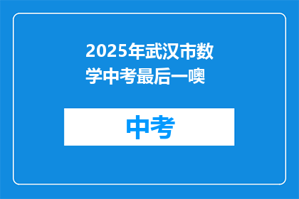 2025年武汉市数学中考最后一噢