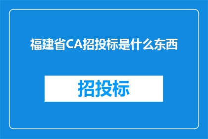 福建省CA招投标是什么东西