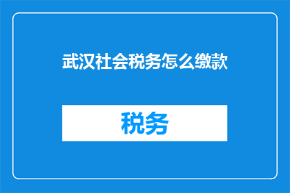 武汉社会税务怎么缴款