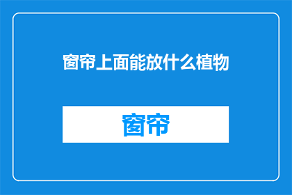 窗帘上面能放什么植物