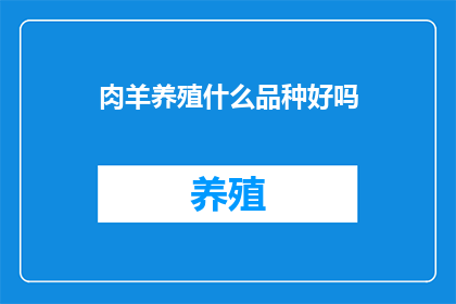 肉羊养殖什么品种好吗
