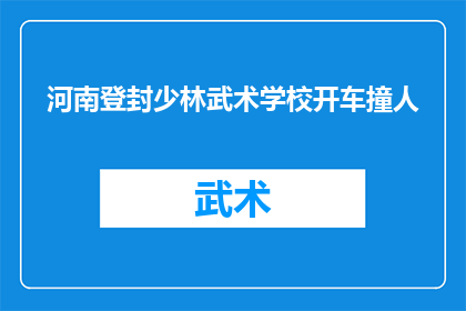 河南登封少林武术学校开车撞人