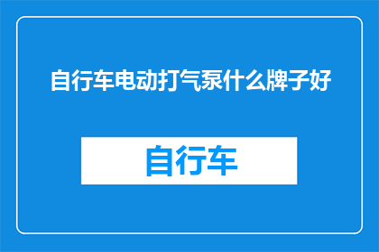 自行车电动打气泵什么牌子好