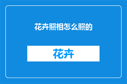 花卉照相怎么照的