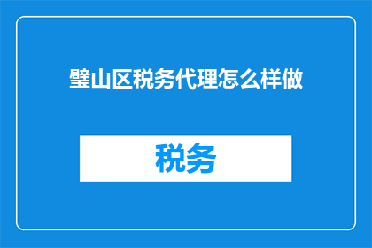 璧山区税务代理怎么样做