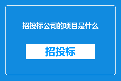 招投标公司的项目是什么
