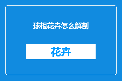 球根花卉怎么解剖