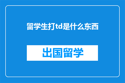 留学生打td是什么东西