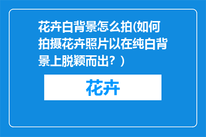 花卉白背景怎么拍(如何拍摄花卉照片以在纯白背景上脱颖而出？)