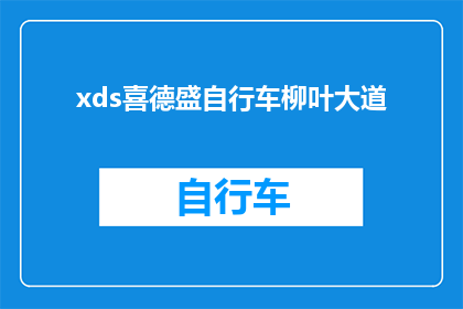 xds喜德盛自行车柳叶大道