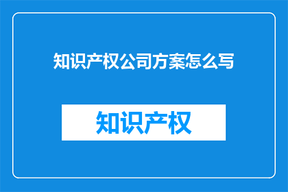 知识产权公司方案怎么写