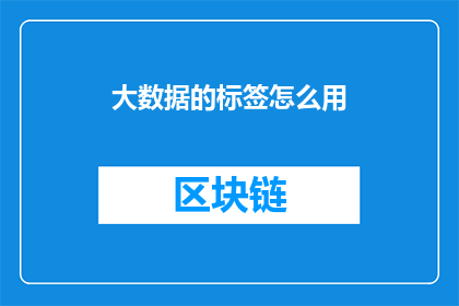 大数据的标签怎么用(如何有效利用大数据标签以提升信息处理与分析的效率？)