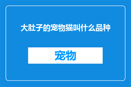 大肚子的宠物猫叫什么品种(大肚子的宠物猫叫什么品种？)