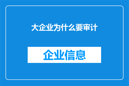 大企业为什么要审计(为什么大企业需要定期进行审计？)