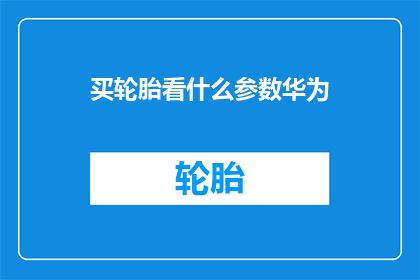买轮胎看什么参数华为(在选购轮胎时，您应该关注哪些关键参数？华为品牌是否提供了详尽的指导？)