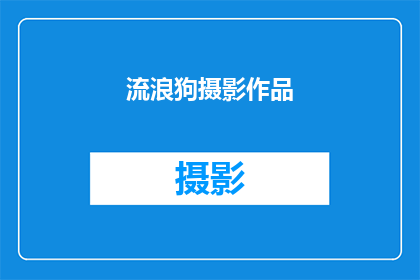 流浪狗摄影作品(流浪狗摄影作品：它们的故事，你了解吗？)