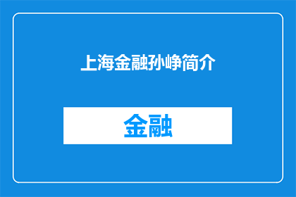 上海金融孙峥简介(上海金融界新星孙峥：他是谁？为何备受关注？)