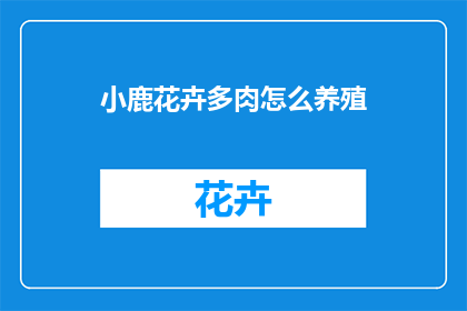 小鹿花卉多肉怎么养殖(如何养护小鹿花卉多肉植物？)